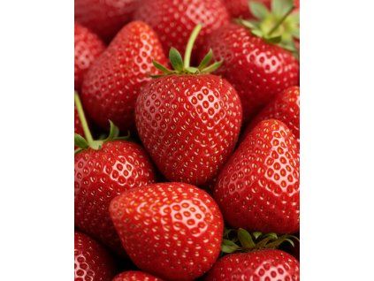 Generated Image November 11, 2025 7 59AM