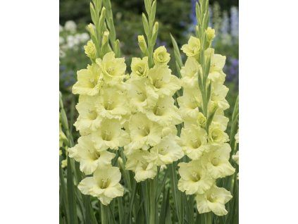 0FCFA82E CC1E 476D B2A0 8BF424526356